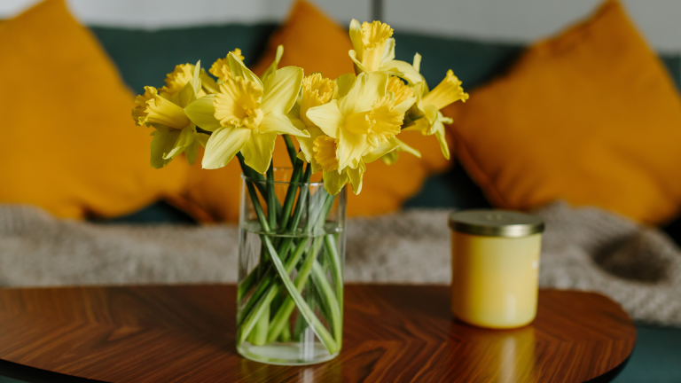 Sellers – how to stage your property for sale in spring